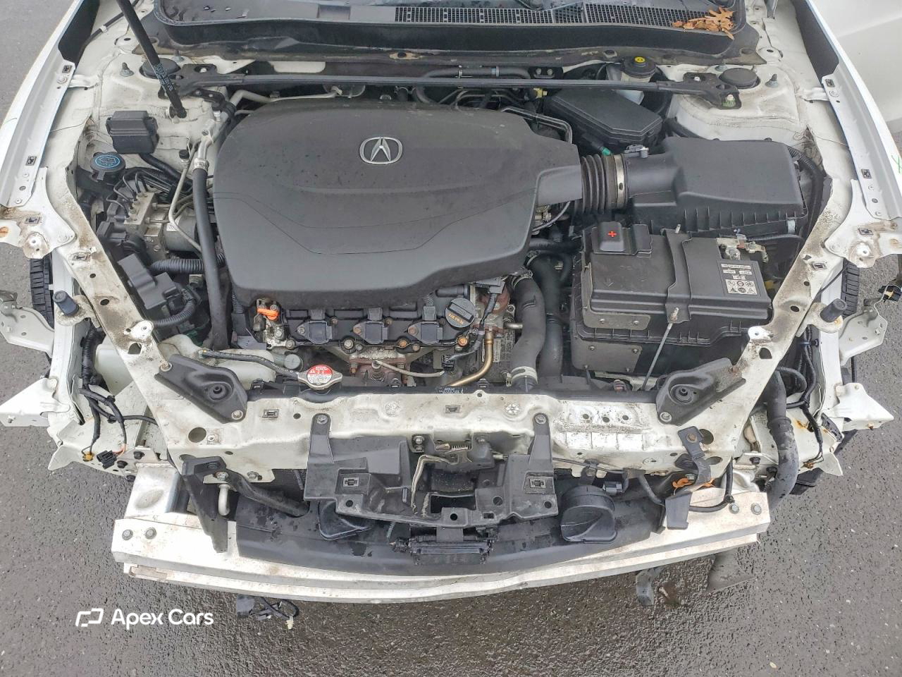 Acura TLX 2019