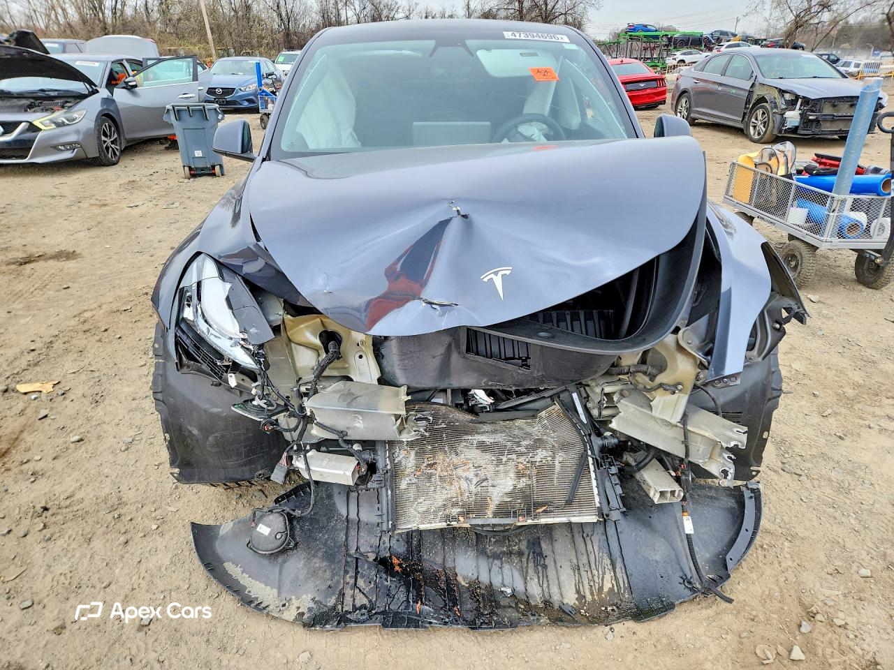 Tesla Model Y 2021