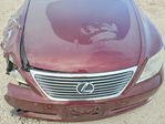 Lexus LS 2009