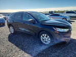 Ford Escape 2024