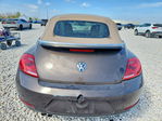 Volkswagen Beetle 2013