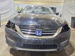 Honda Accord 2013