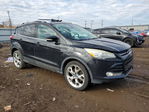 Ford Escape 2013