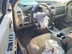 Ford Escape 2008