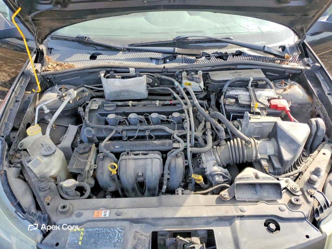 Ford Focus 2011