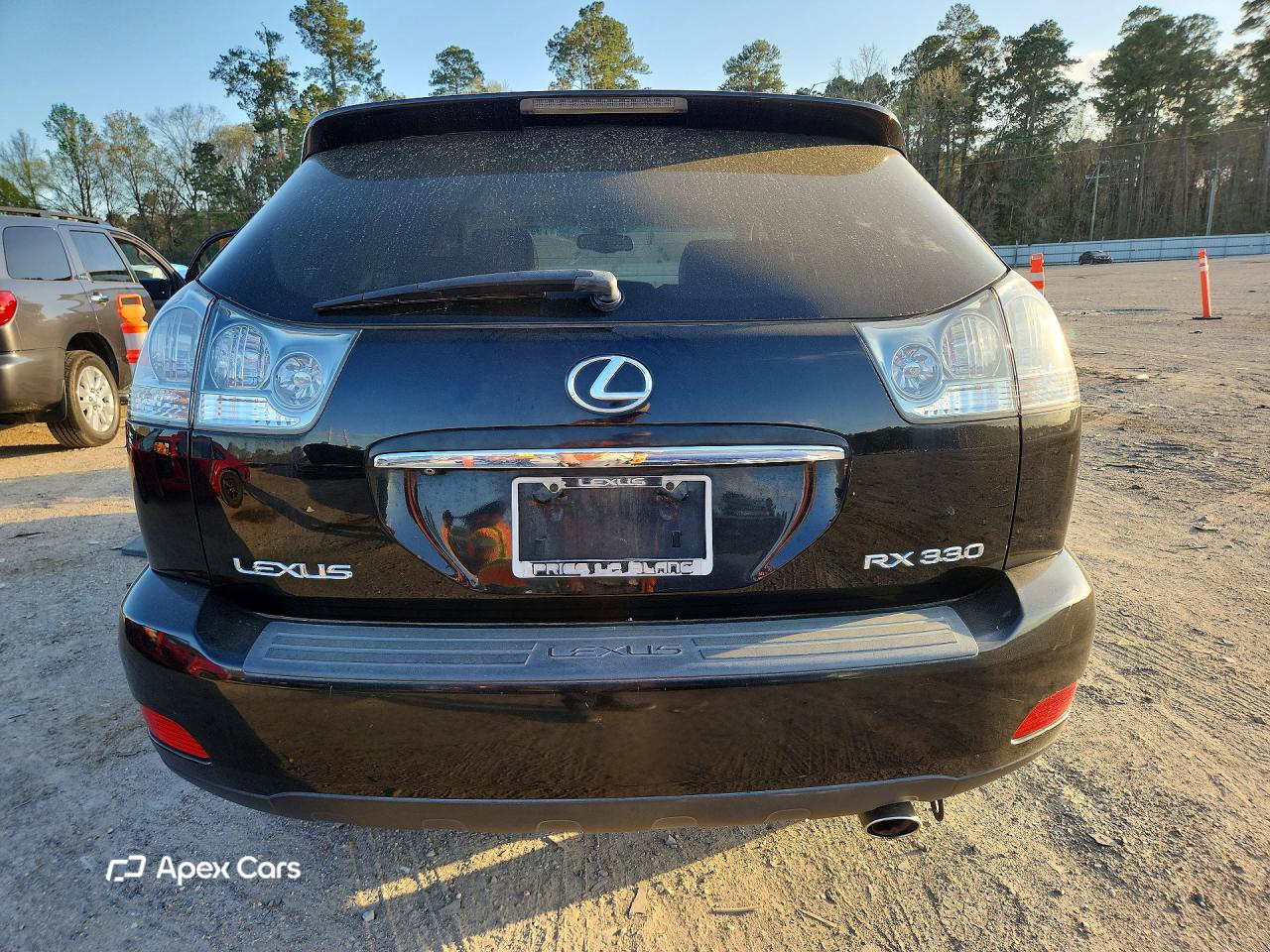 Lexus RX 2004