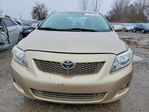 Toyota Corolla 2009