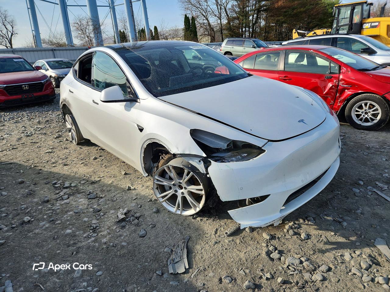 Tesla Model Y 2021