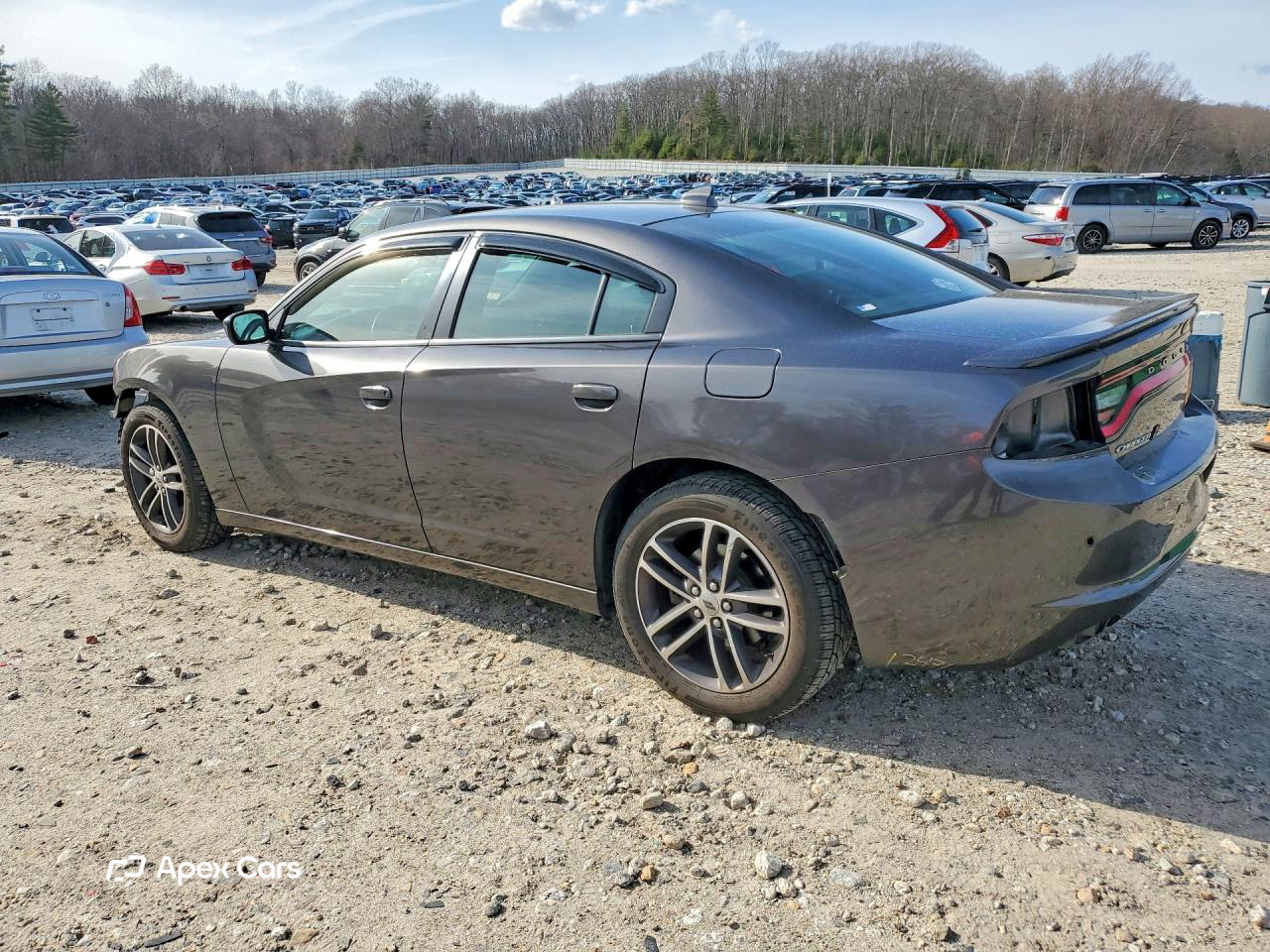 Dodge Charger 2019