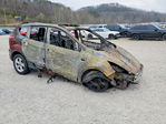 Ford Escape 2014
