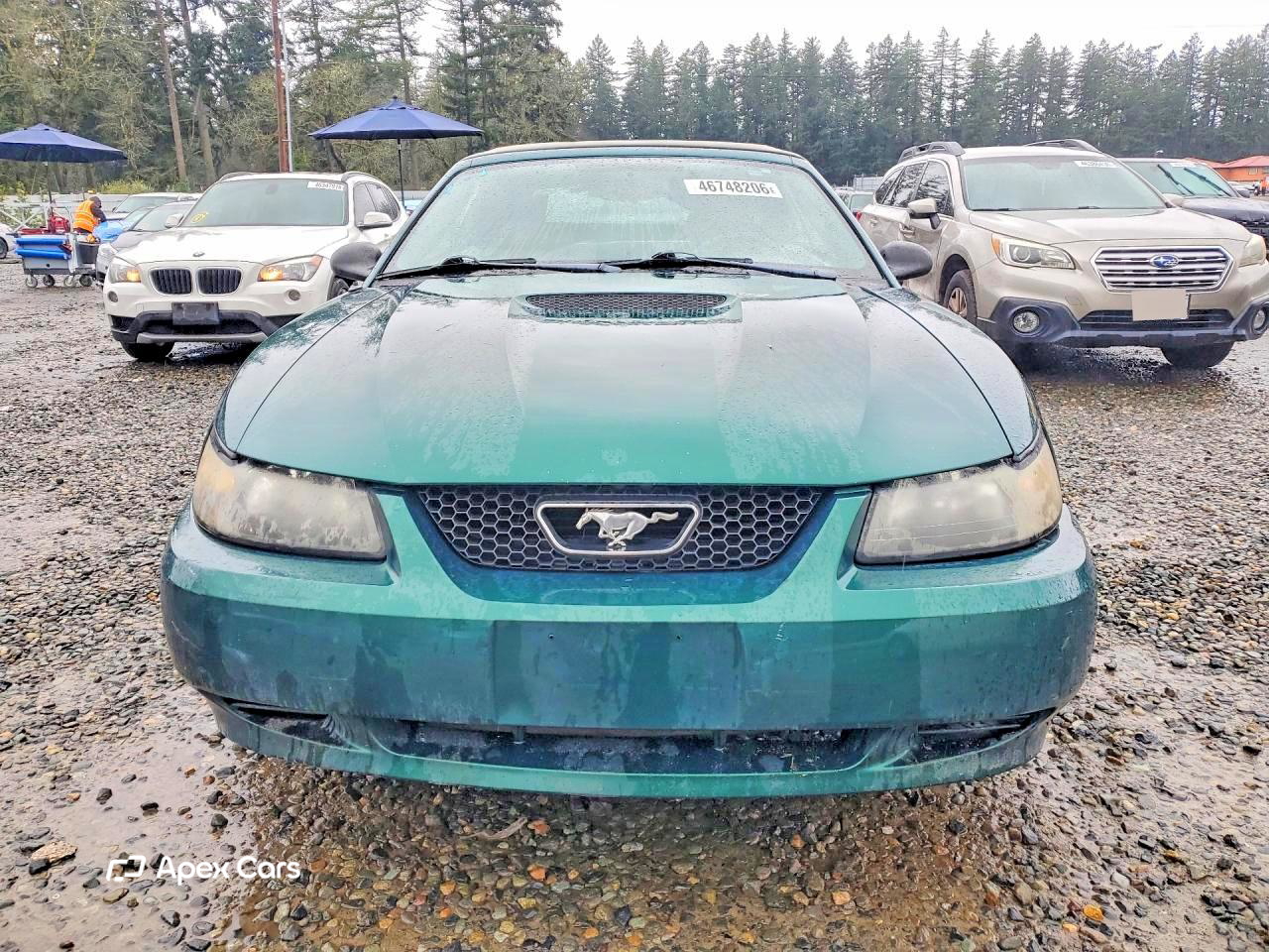 Ford Mustang 2002