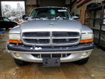 Dodge Dakota 2004
