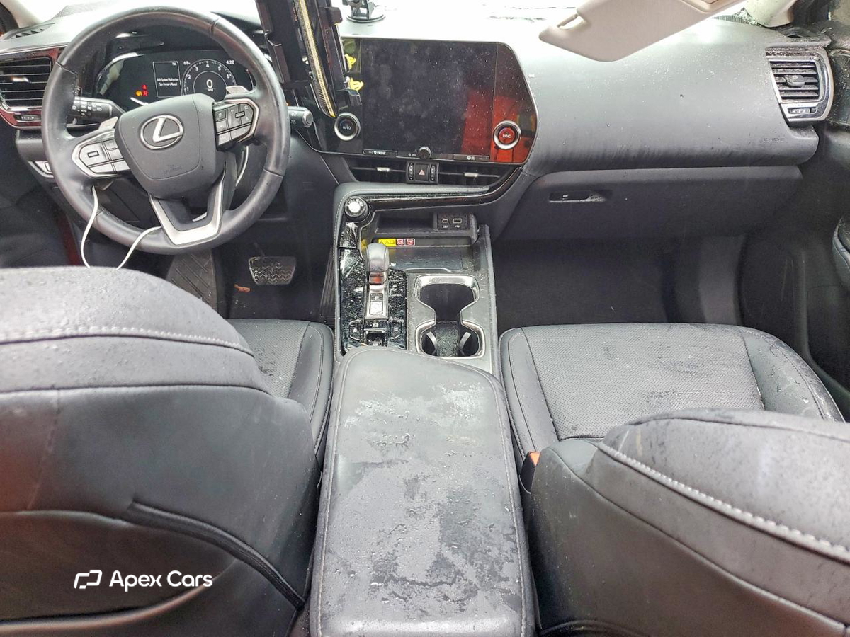 Lexus NX 2024