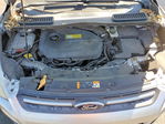 Ford Escape 2013