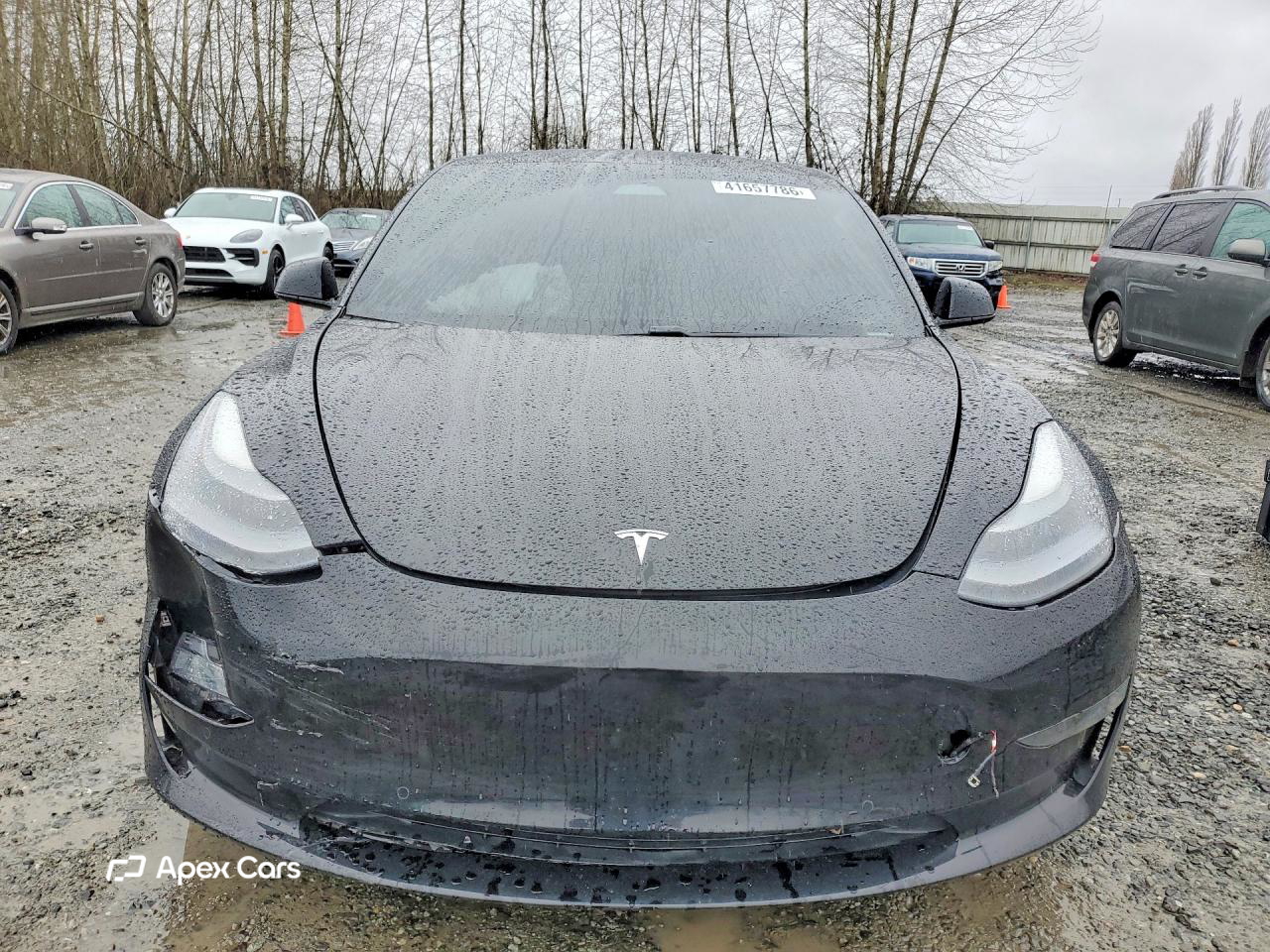 Tesla Model 3 2021