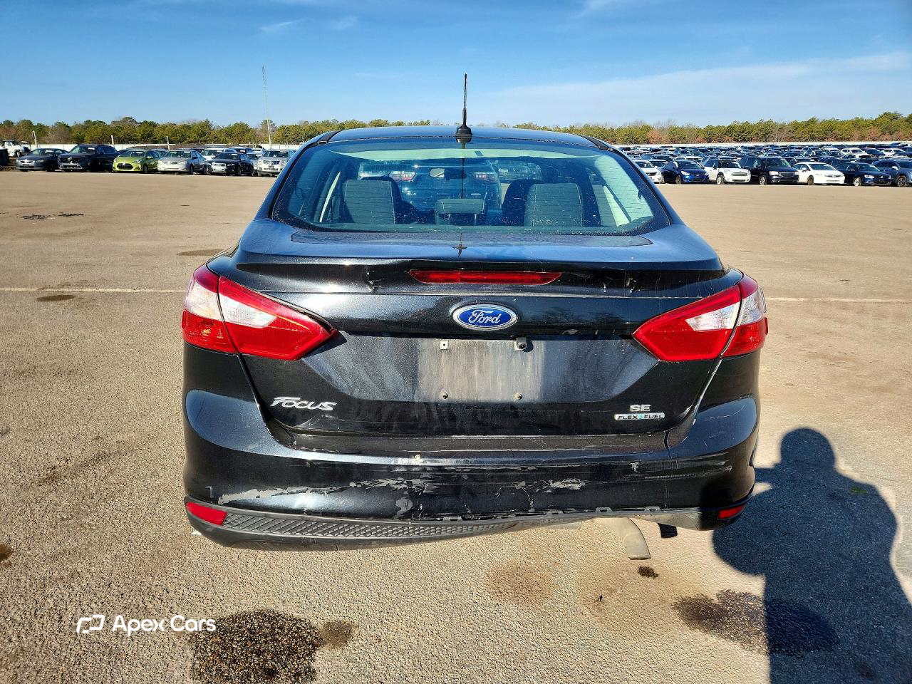 Ford Focus 2013