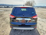 Ford Escape 2013