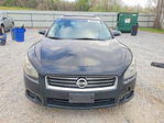 Maxima 2014