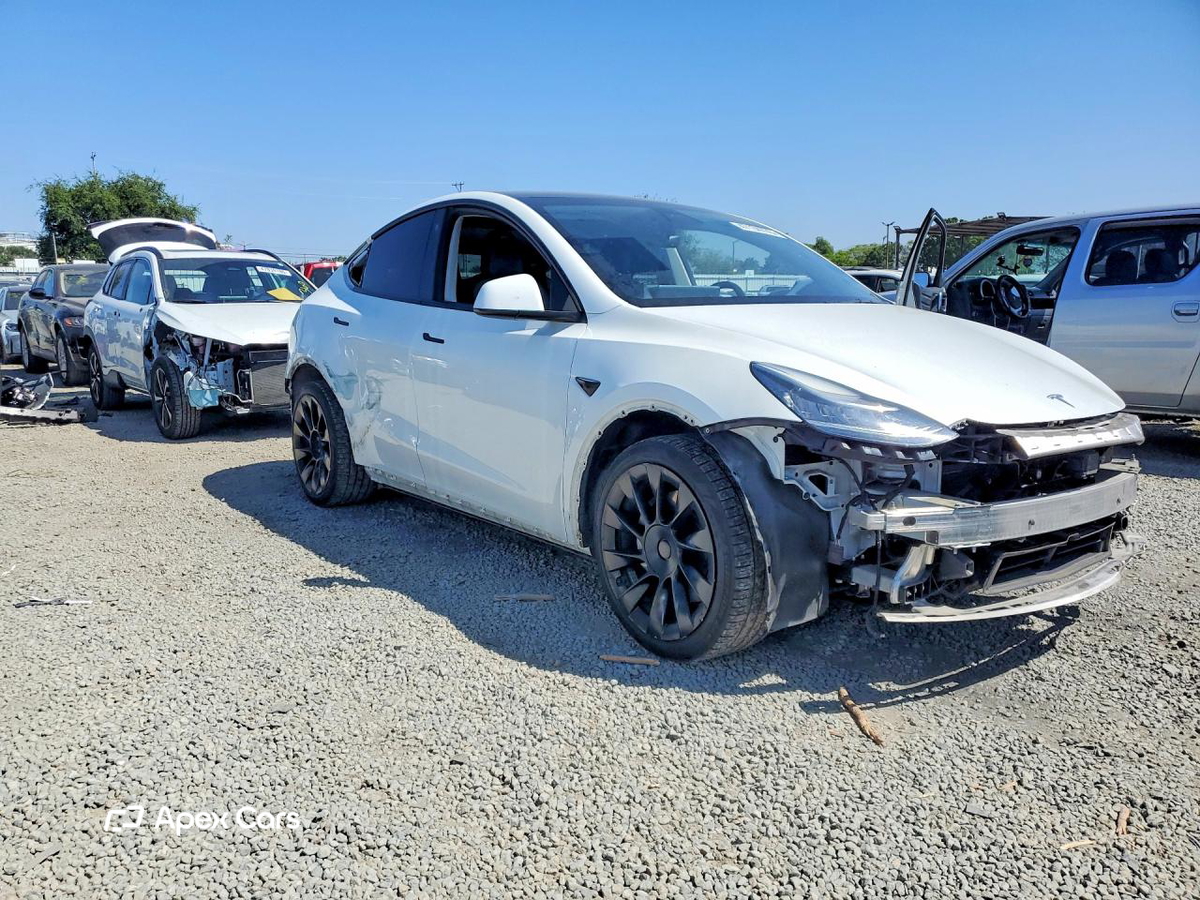 Tesla Model Y 2021