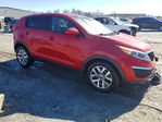 Kia Sportage 2015