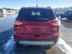 Ford Escape 2016