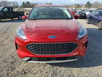 Ford Escape 2021