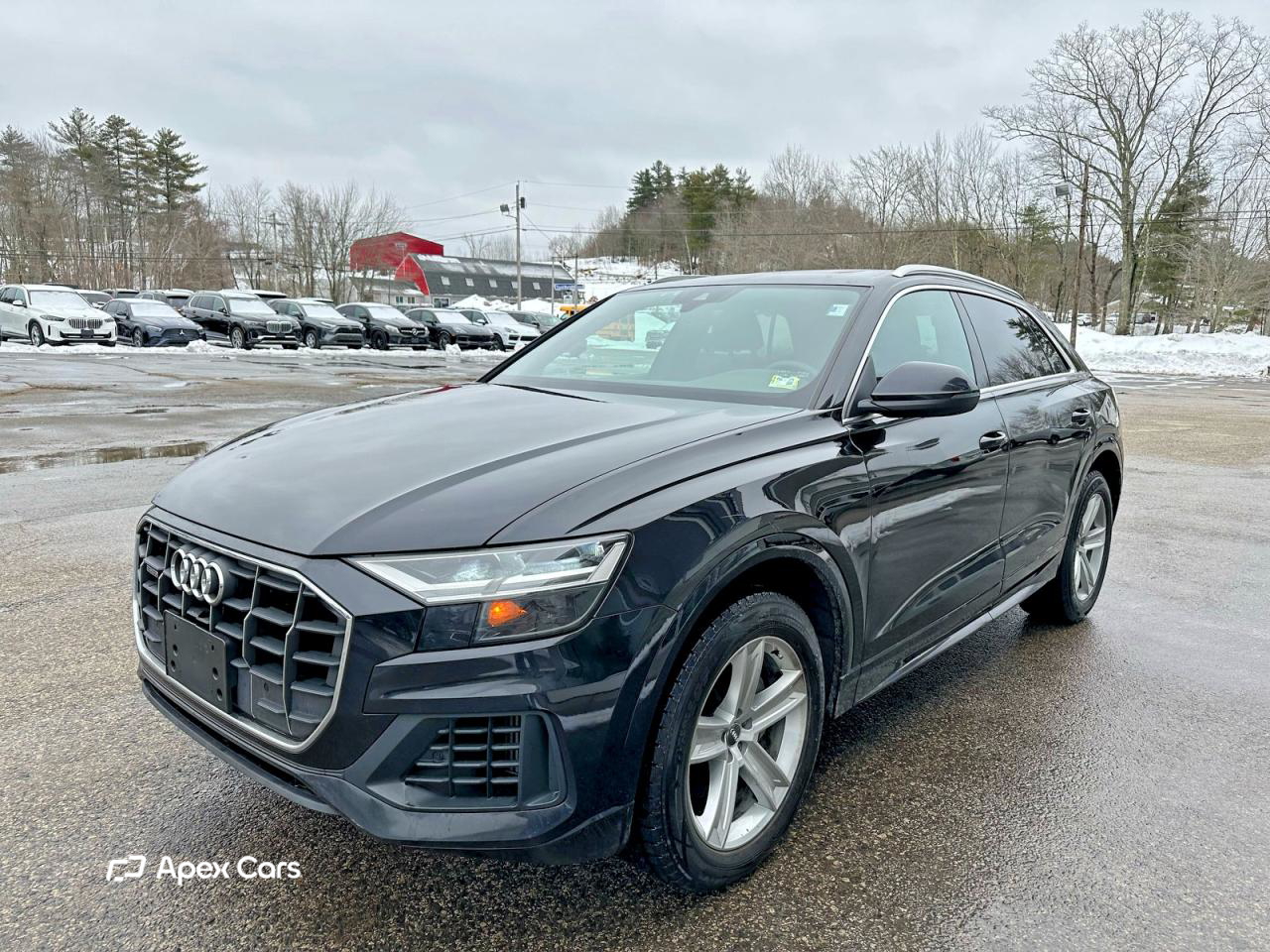 Audi Q8 2019