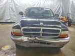 Dodge Dakota 2004