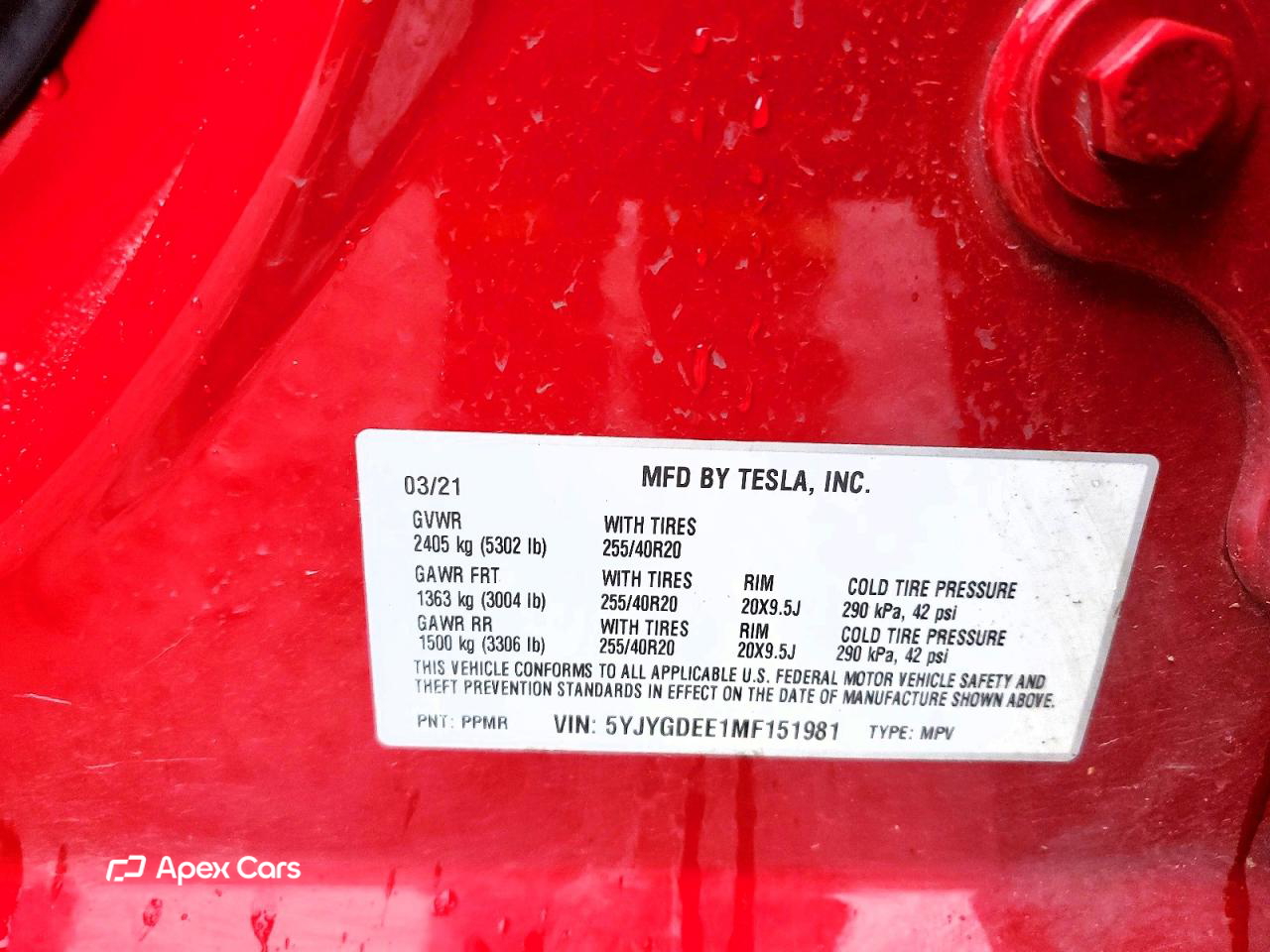 Tesla Model Y 2021