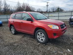 Toyota RAV 4 2011