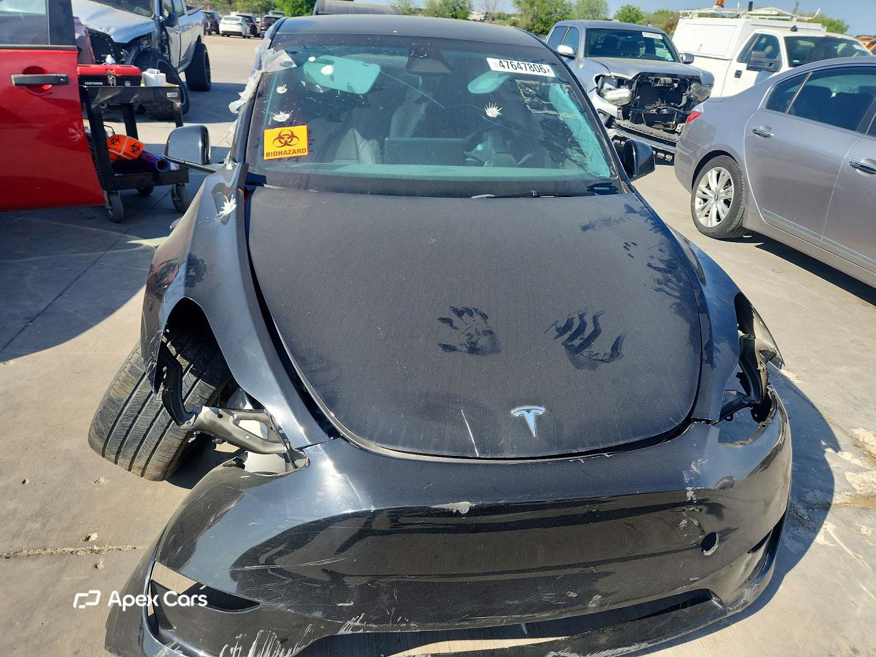 Tesla Model Y 2024