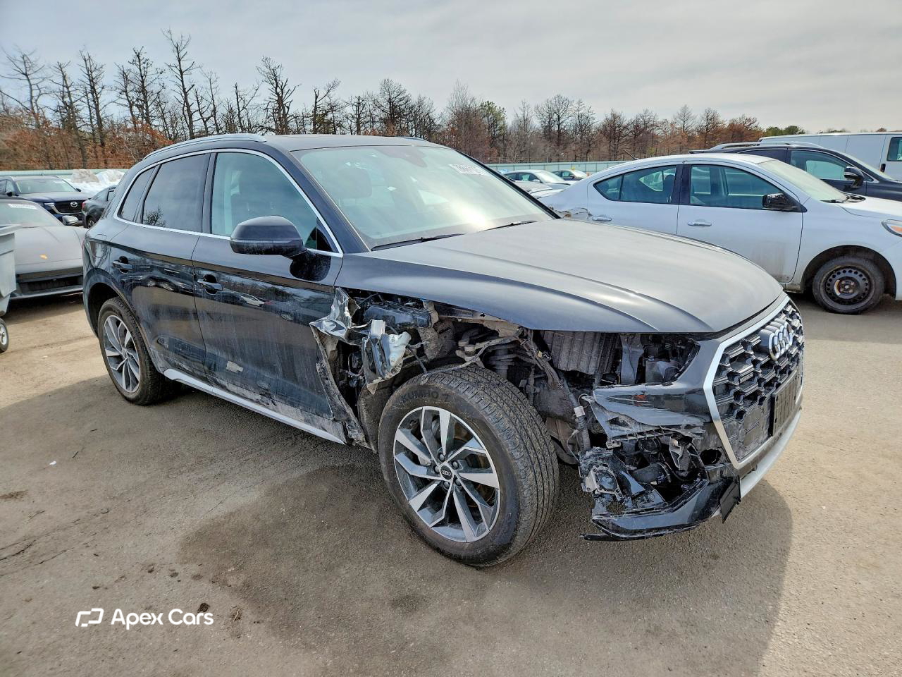 Audi Q5 2023
