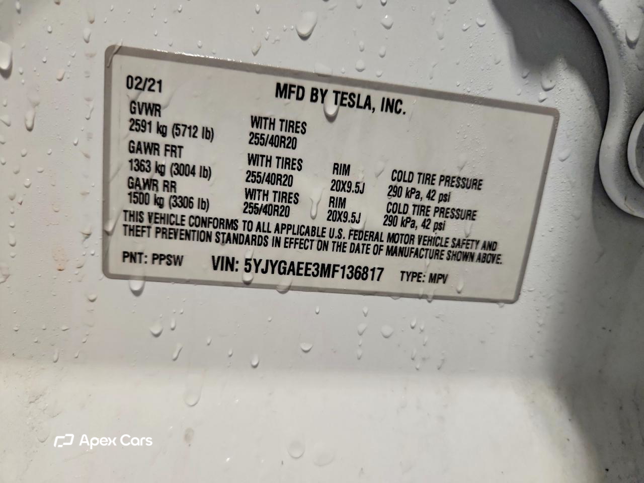 Tesla Model Y 2021