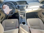 Honda Accord 2013