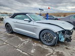 Ford Mustang 2019