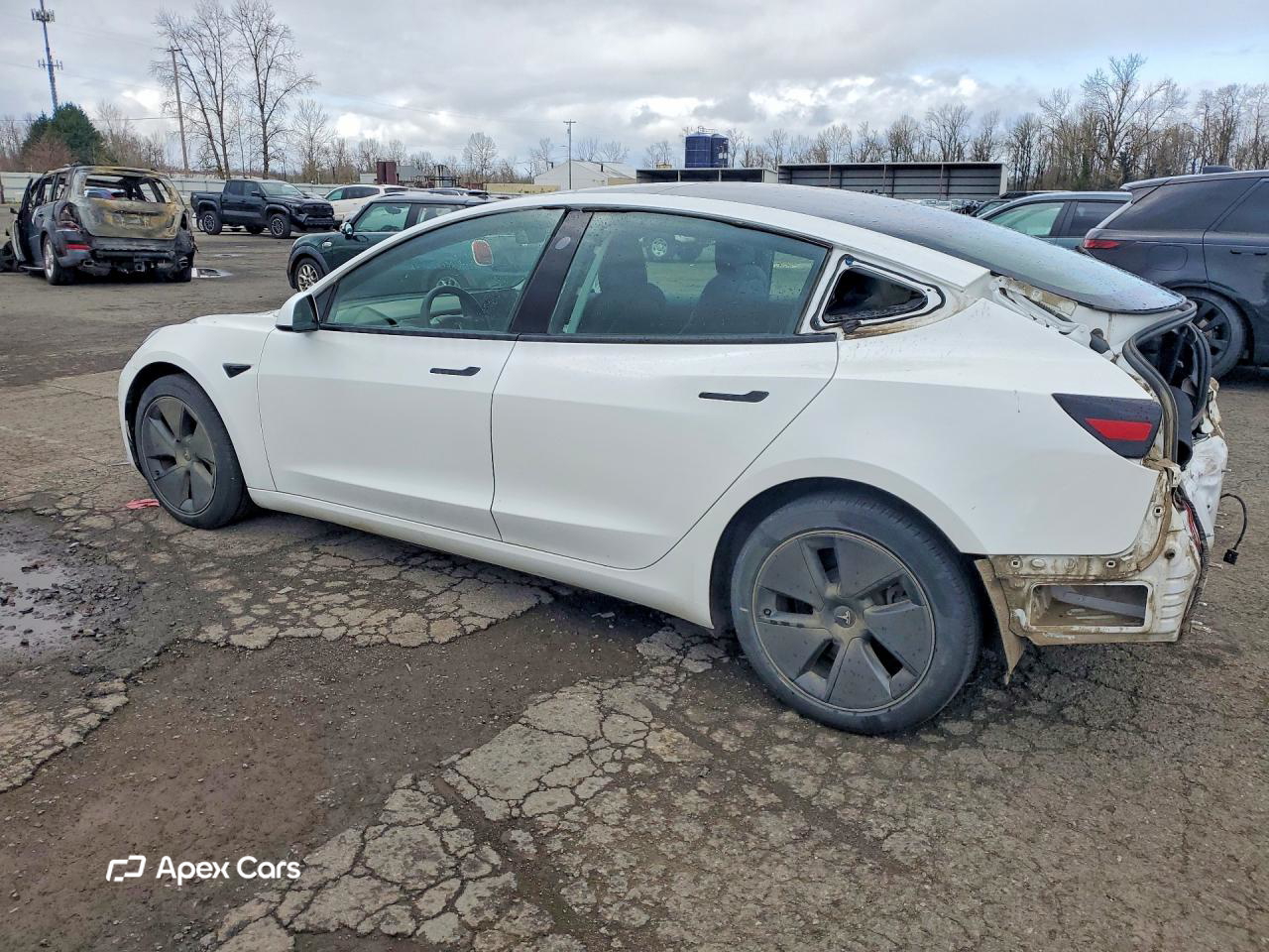 Tesla Model 3 2021