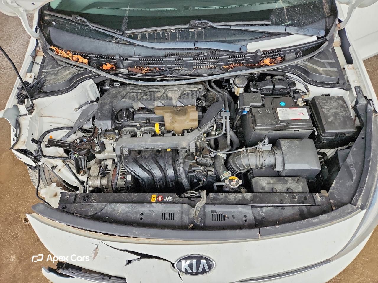 Kia Rio 2020