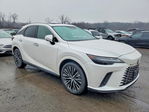 Lexus RX 2024