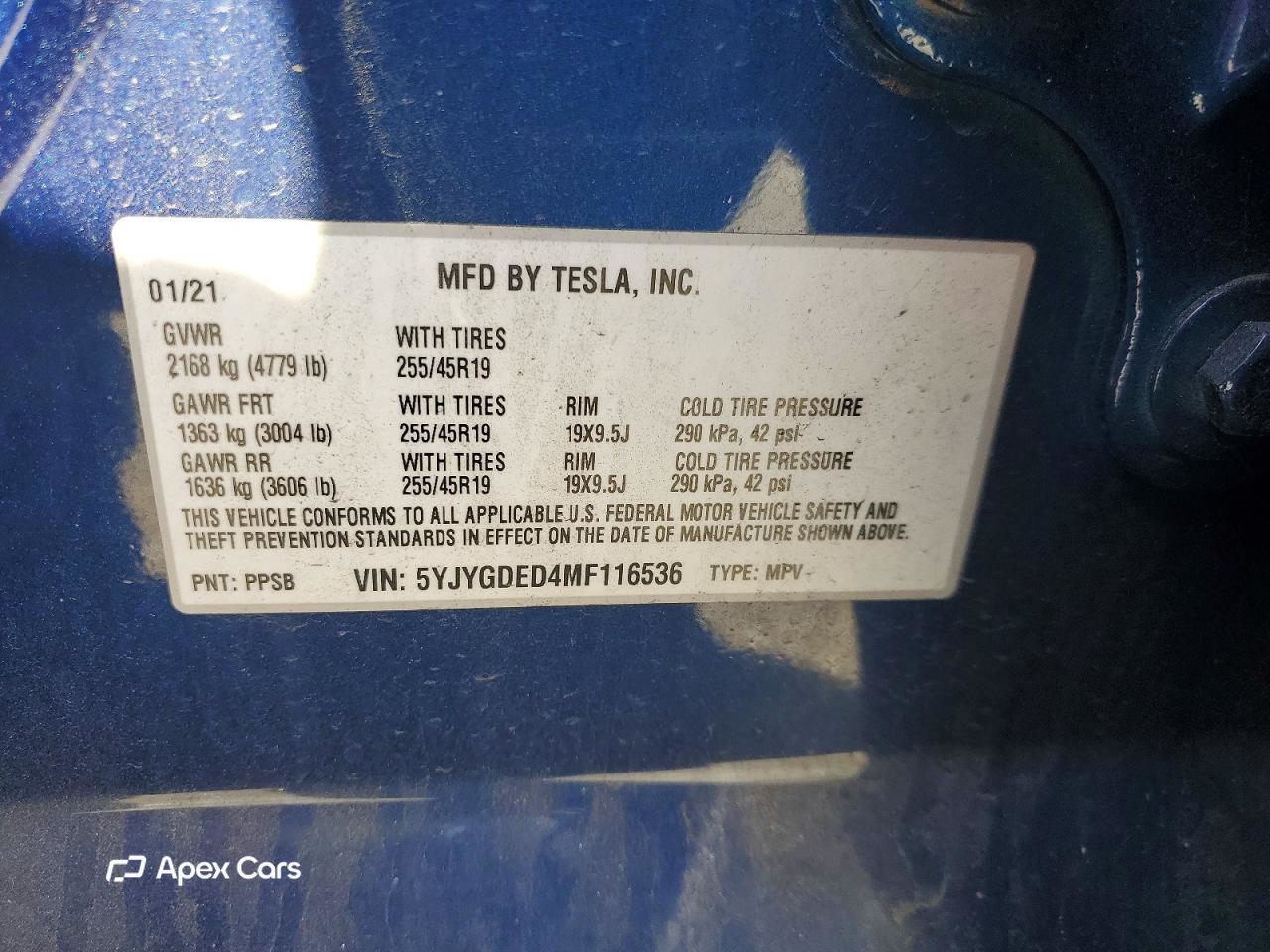 Tesla Model Y 2021