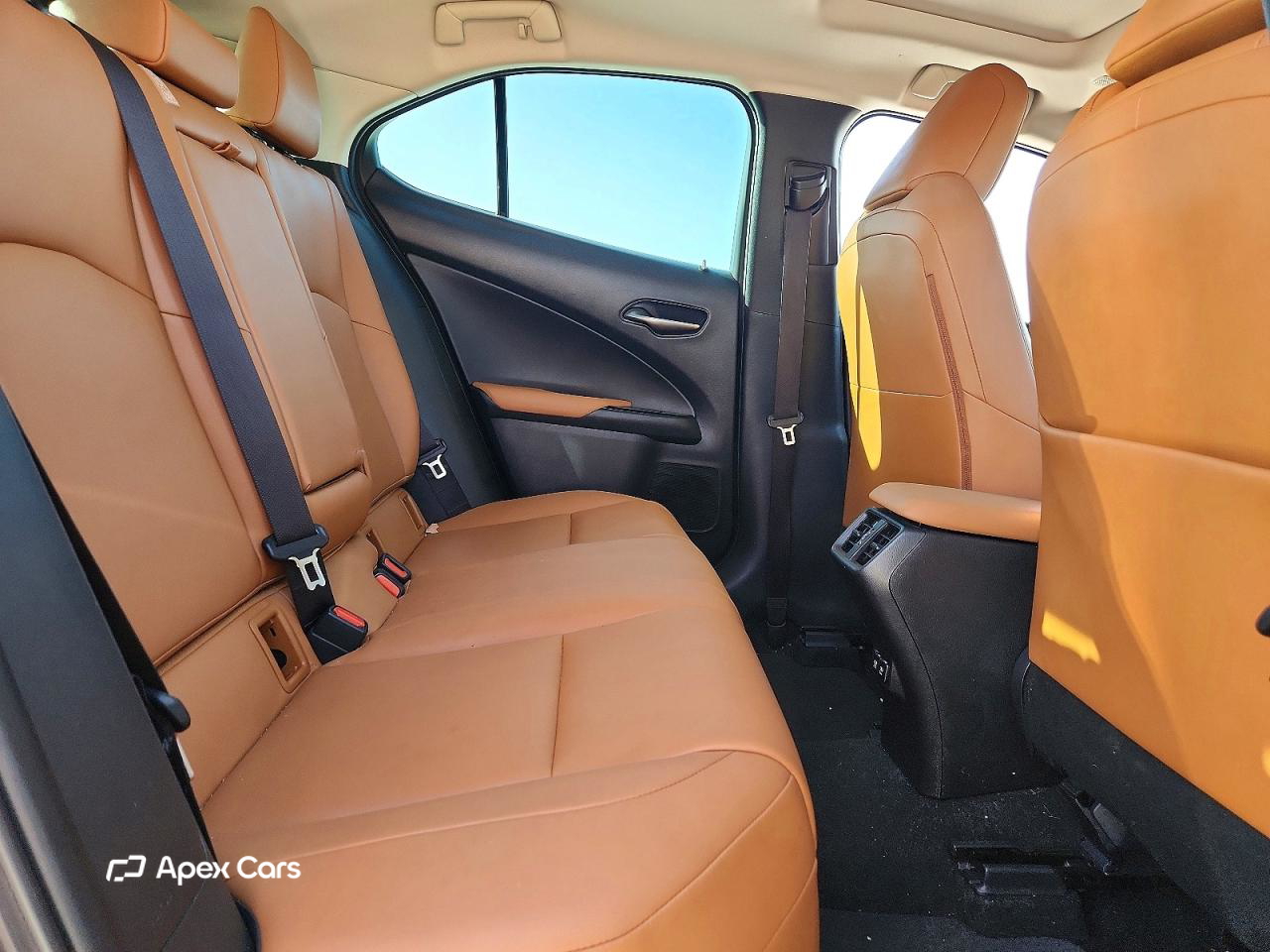 Lexus UX 2019