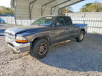 Dodge Dakota 2002