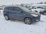 Ford Escape 2013