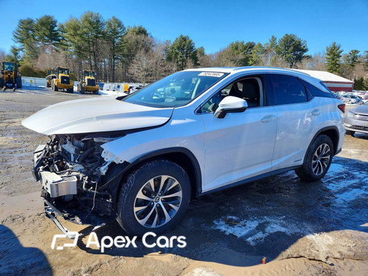 Lexus RX 2020 - Zdjęcie 1 z 13