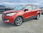 Ford Escape 2014