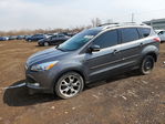 Ford Escape 2014