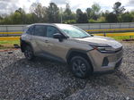 Toyota RAV 4 2026