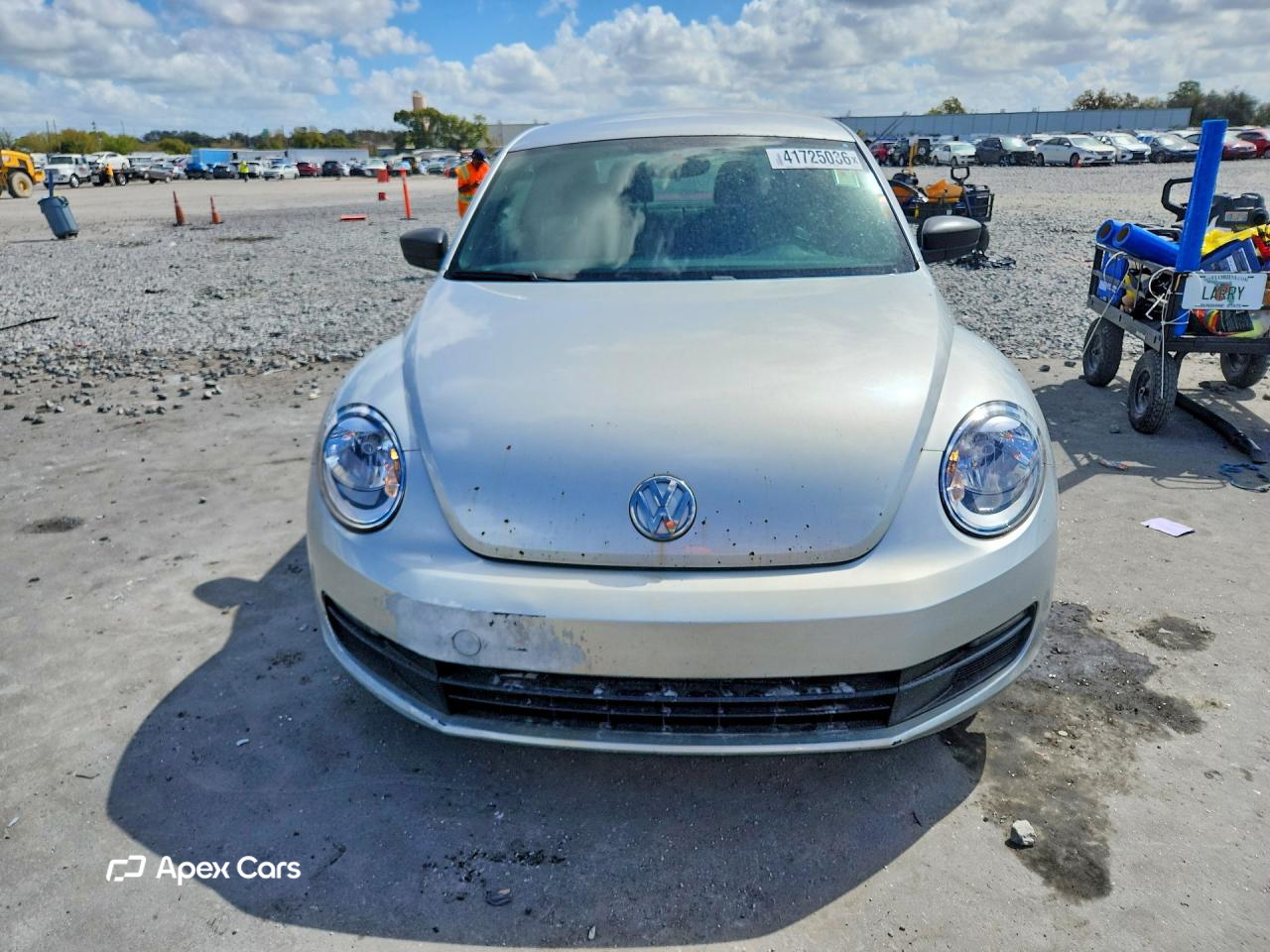 Volkswagen Beetle 2014