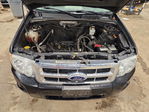 Ford Escape 2012