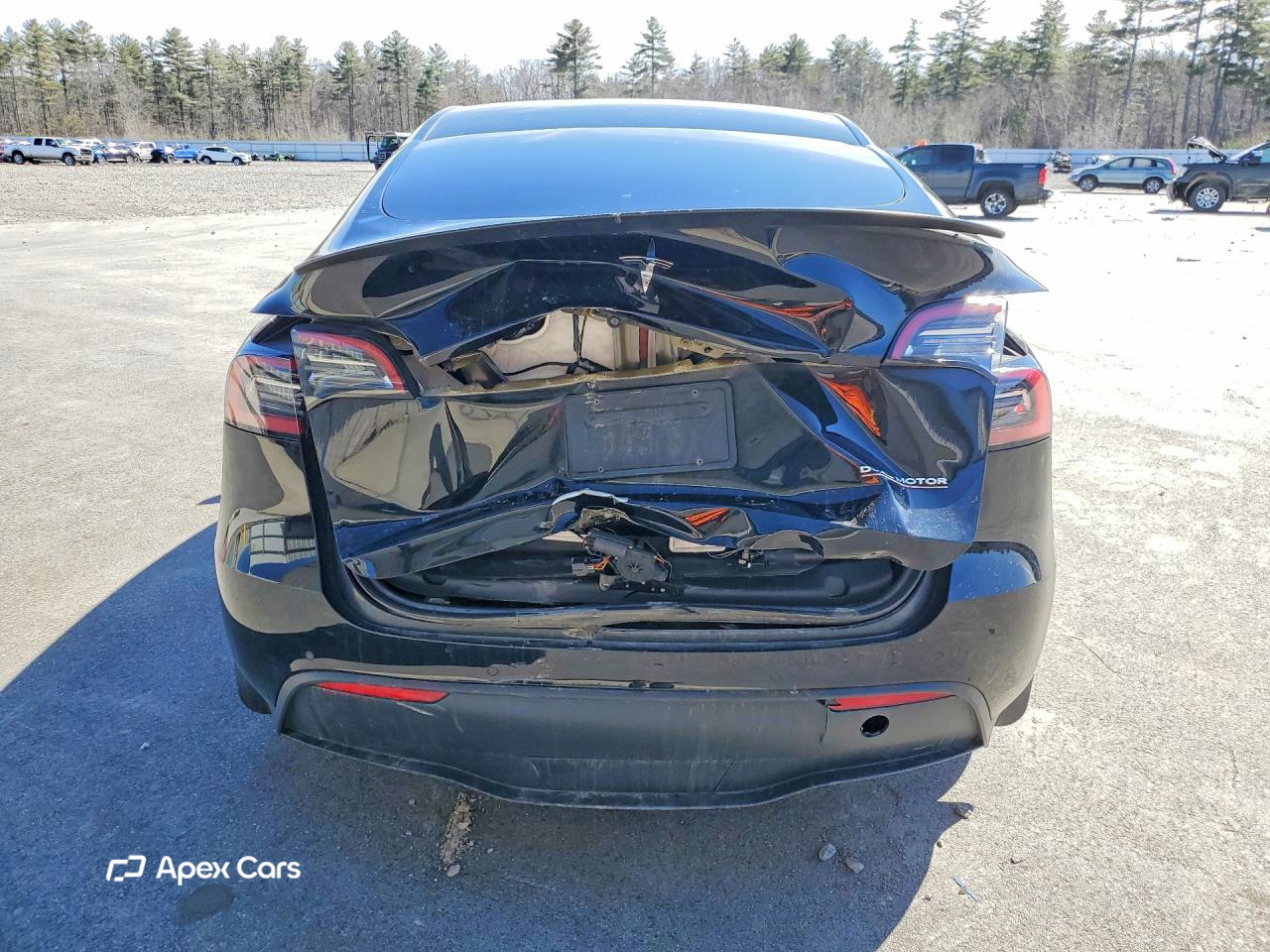 Tesla Model Y 2021