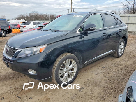 Lexus RX 2010 - Image 1 of 13